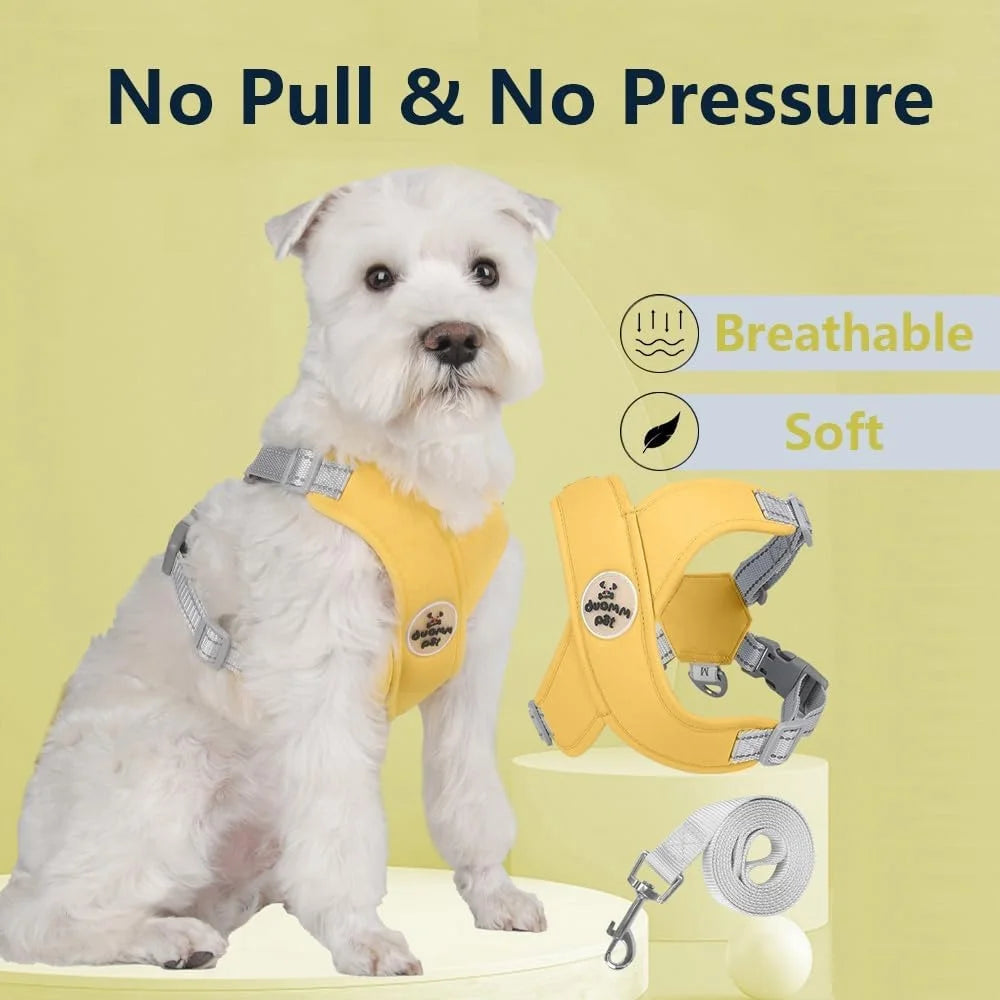 No Pull Dog Harness Leash Set Adjustable Comfortable Vest Reflective Mesh Dog Training Walking Outdoor Activities Safety