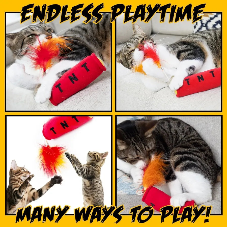 Cat Toy TNT Cat Toys for Indoor Cats Kitten Toys Catnip Toys for Cats of All Breeds with Dangle Feathers and Jingle Sound Kicki