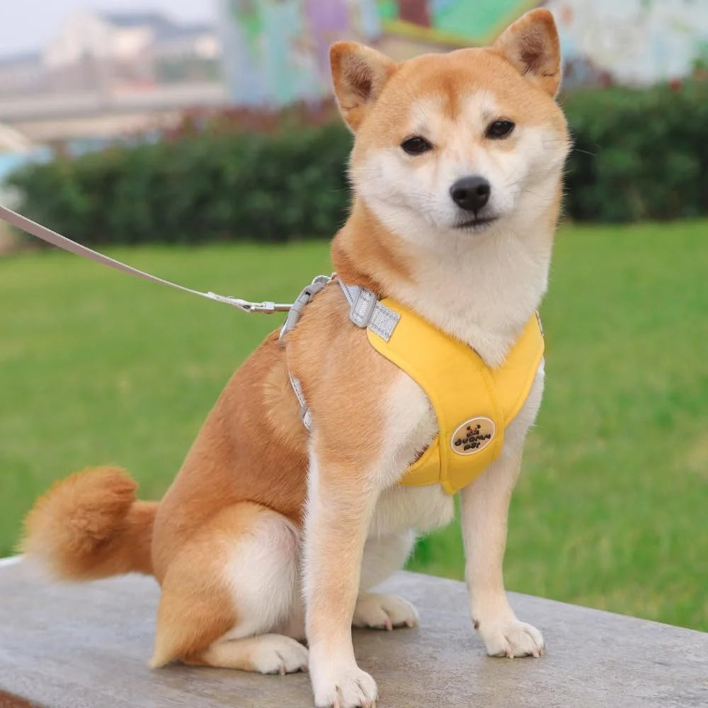 No Pull Dog Harness Leash Set Adjustable Comfortable Vest Reflective Mesh Dog Training Walking Outdoor Activities Safety