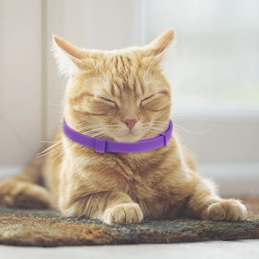 38cm Calming Collar Necklace Adjustable Stress Reduction Collar Waterproof Relieve Anxiety Remove Restlessness Pet Supplies