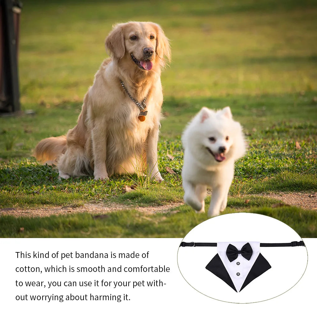 Pet Bandana Bowknot Pet Neckerchief Cotton Decoration Animal Bib Scarf with Collar, Red Black, L