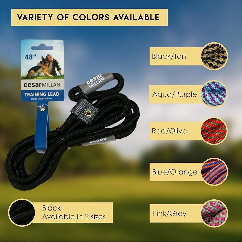 Slip Lead Leash 2-in-1 No Pull Dog Training Collar Heavy Duty Weatherproof Rope Leash Anti-Choking Lock Tab Adjustable Loop