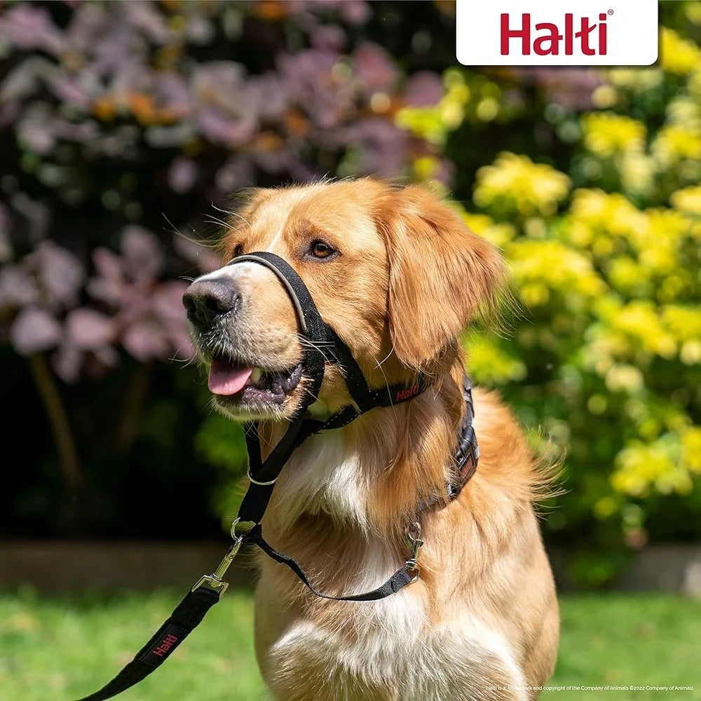 Halti Headcollar Size 3 Dog Leash Large Pack No Pull Training Control Reflective Safety Nylon Comfort Multi-Functional