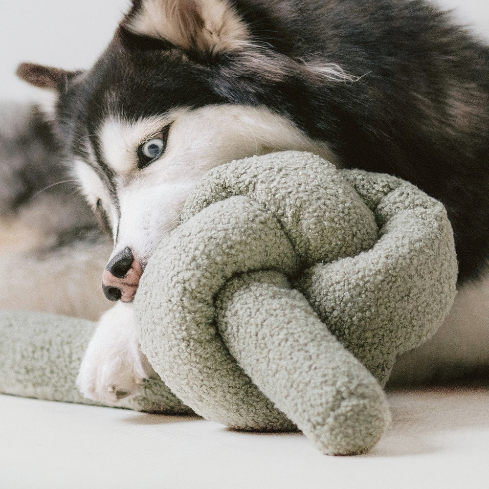Dog Toys