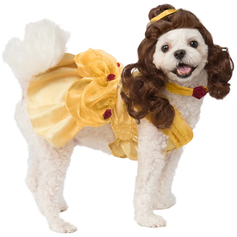 Costumes/Apparel