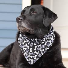 Bandanas And More