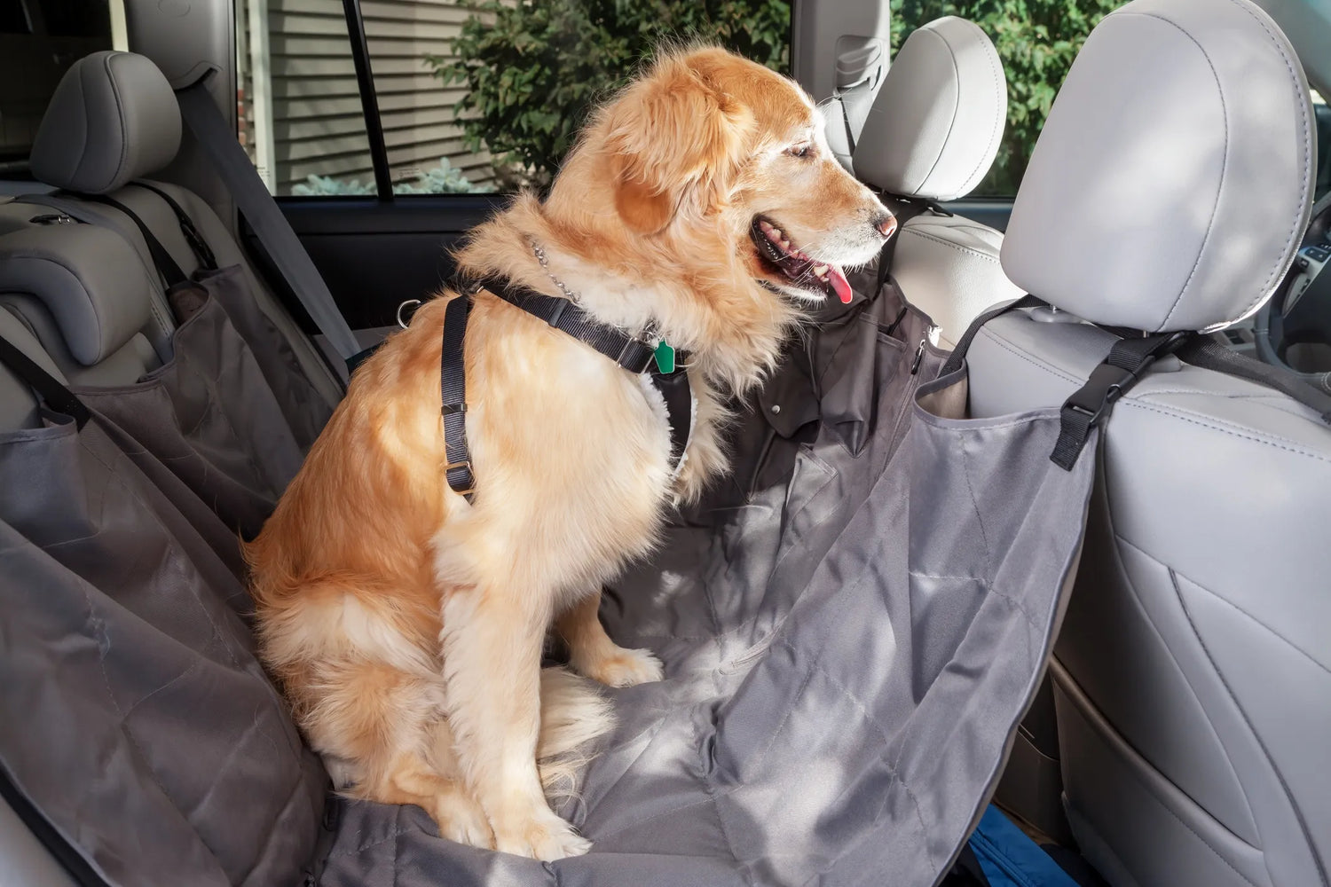 Car Travel Accessories