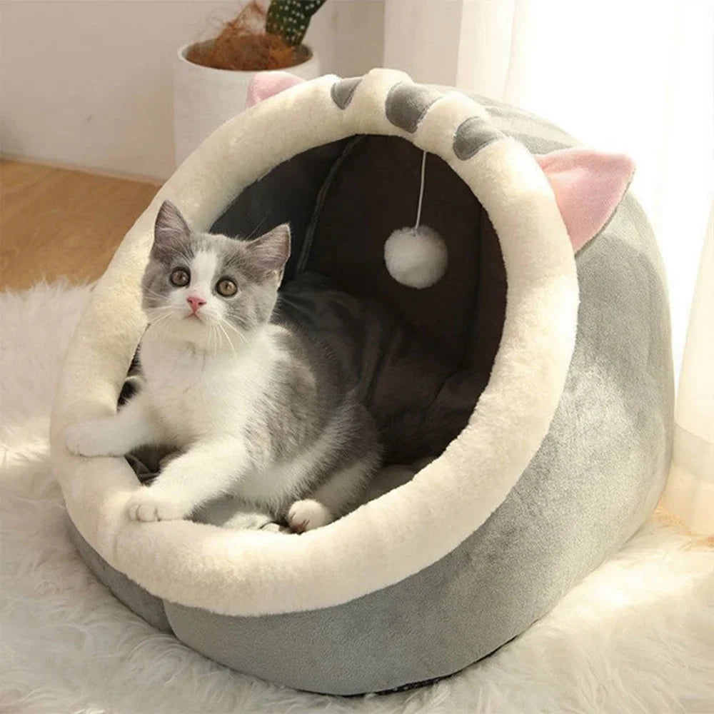 Cat Caves
