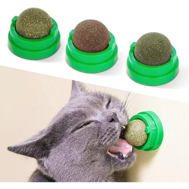 Catnip Toys