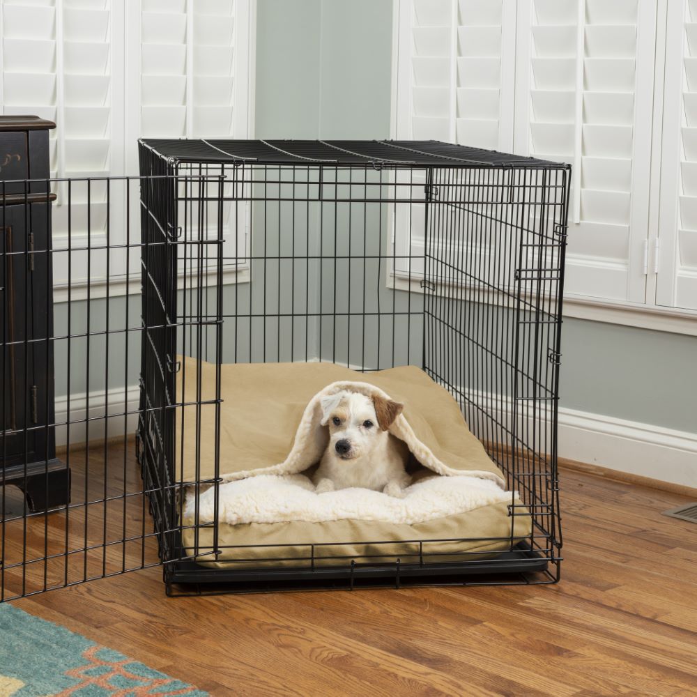 Dog Crates/Carriers
