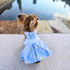 Fur Baby Outfits - Girls