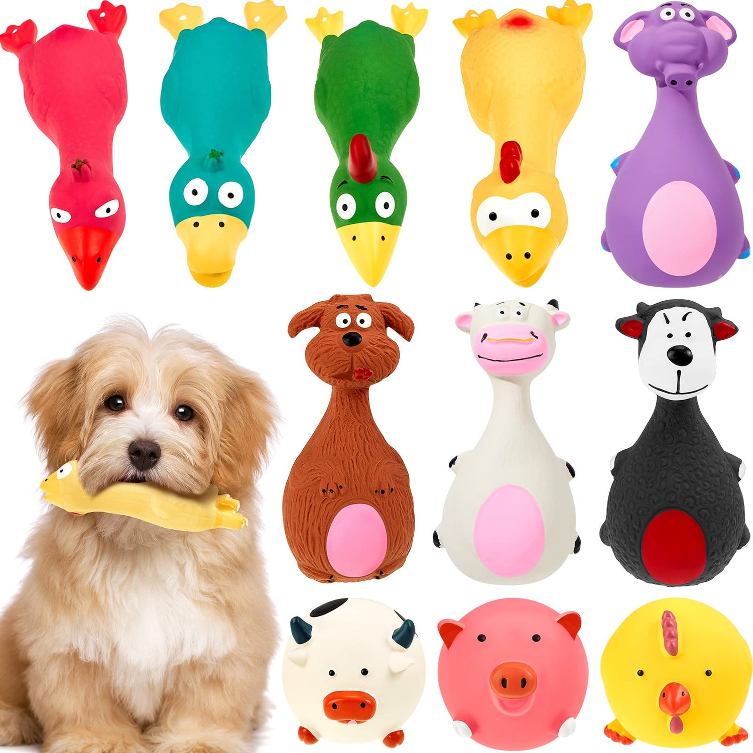 Fetch Toy/Interactive Toys