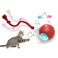 Interactive Toys