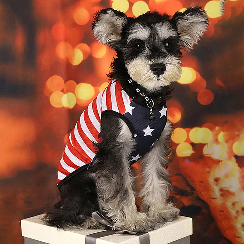 American Flag Patriotic Dog Cats