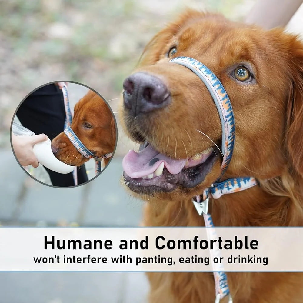 Dog Head Collar Anti-Pulling Halter with Leash Adjustable Snout Harness Large Medium Small Dogs Safe and Durable Training Tool