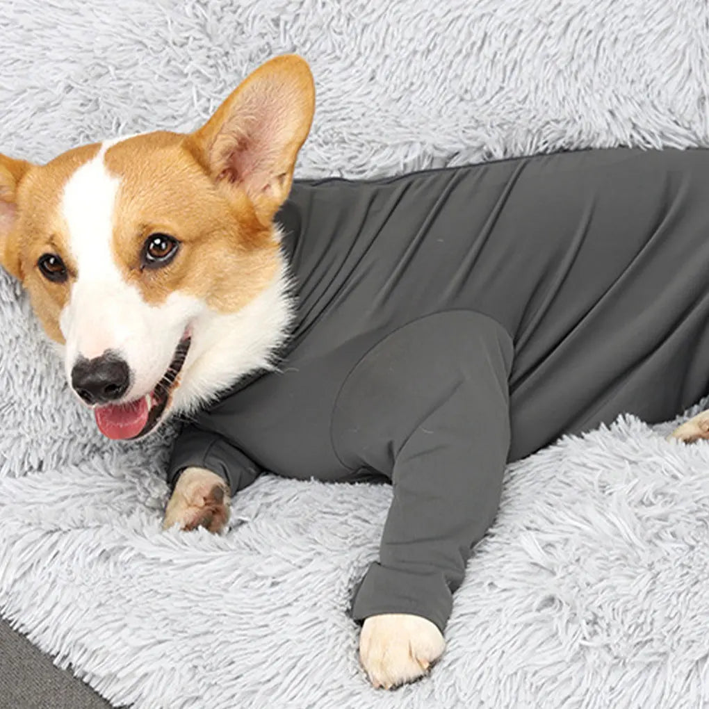 Grey Wide Application Dog Recovery Suit For Indoor And Outdoor Quick-drying Protection Easy To Wear Deep Grey L