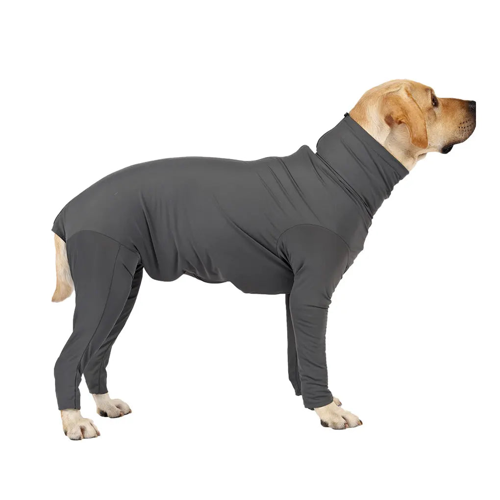 Grey Wide Application Dog Recovery Suit For Indoor And Outdoor Quick-drying Protection Easy To Wear Deep Grey L