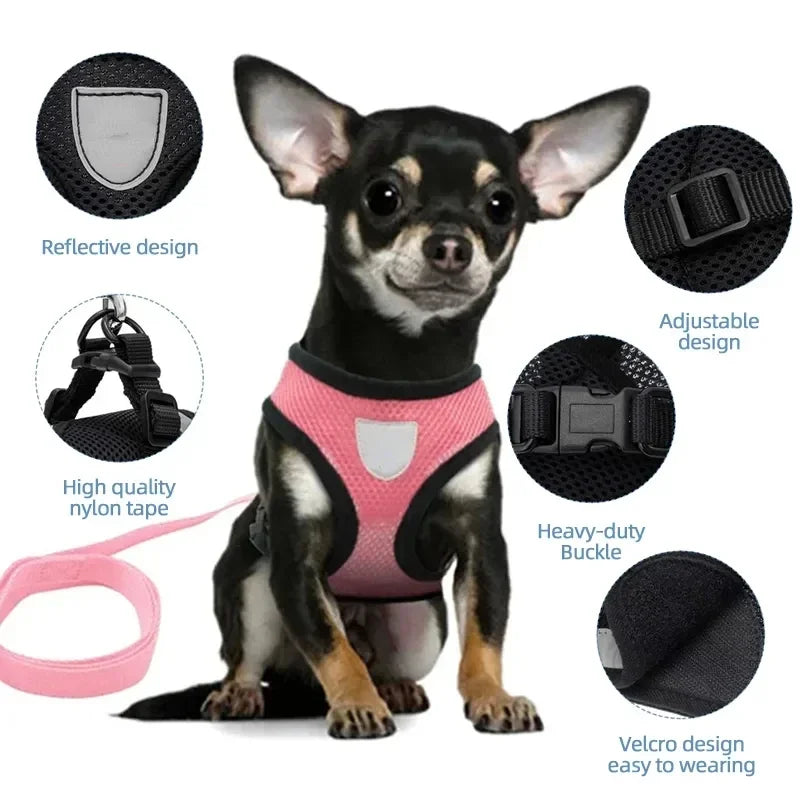 Cat Vest Walking Lead Leash Puppy Vest Collar Polyester Adjustable Mesh Dog Harness  Small Outdoor Dog Walking