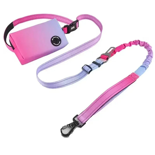 Hands Free Dog Leash with Zipper Pouch  Cushioned Handles  Strong Bungee - Perfect for Walking  Jogging Running