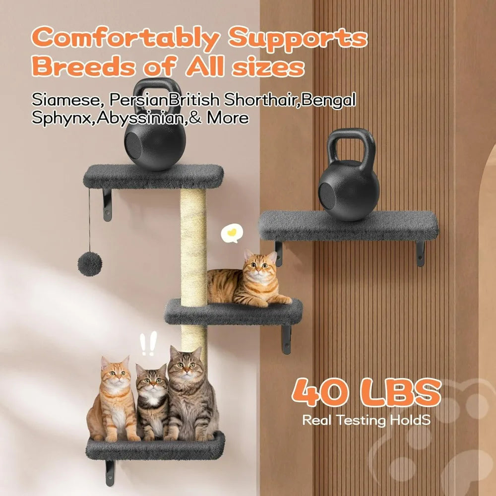 Cat Wall Shelves, Stable & Safe 6 in 1 Pet Walls Furniture Set with Wooden Cat Climber,House, Bridge, Tree, Steps