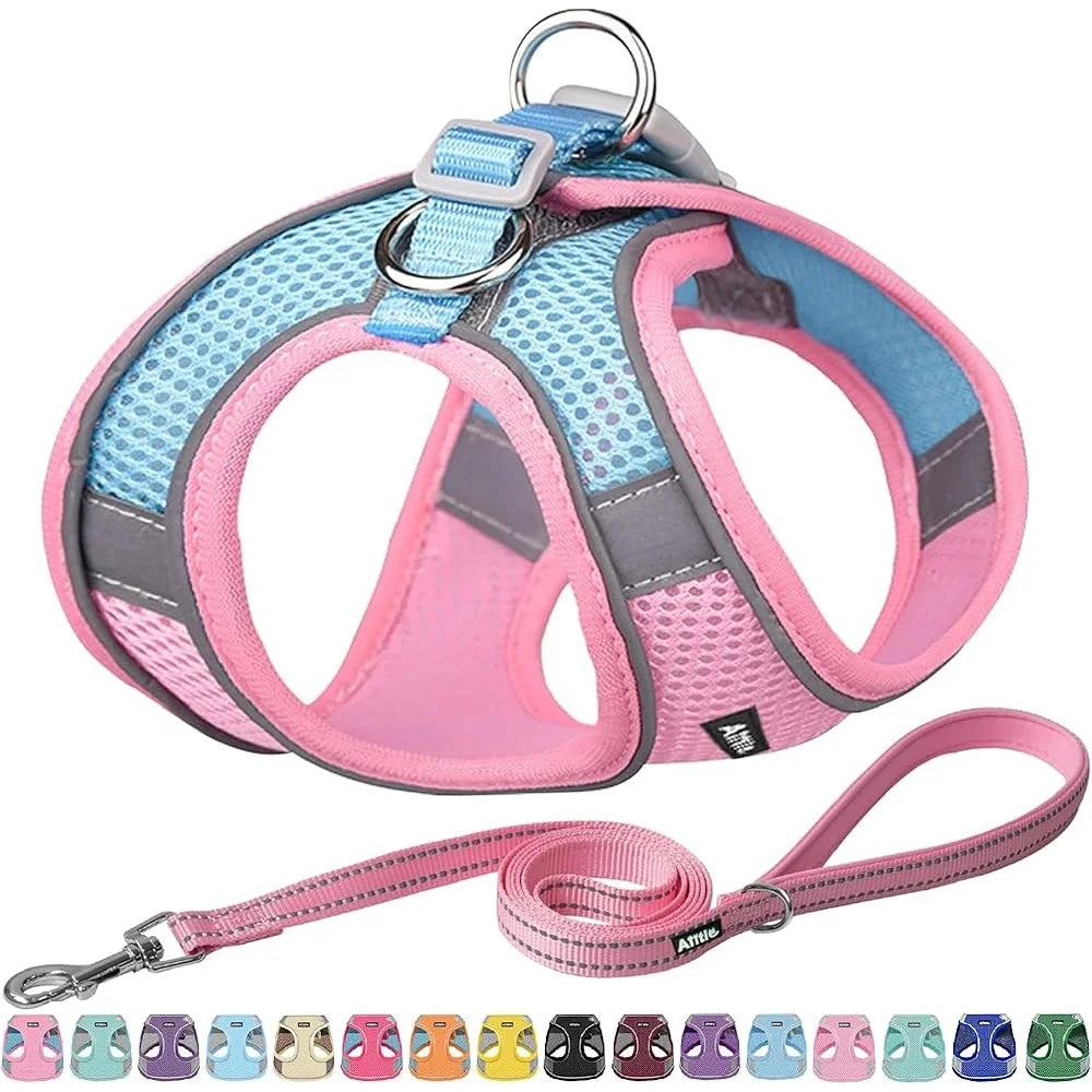 Step in Dog Harness Leash Set No Pull Escape Proof Soft Mesh Vest Reflective Bands Breathable Comfortable Small Dogs