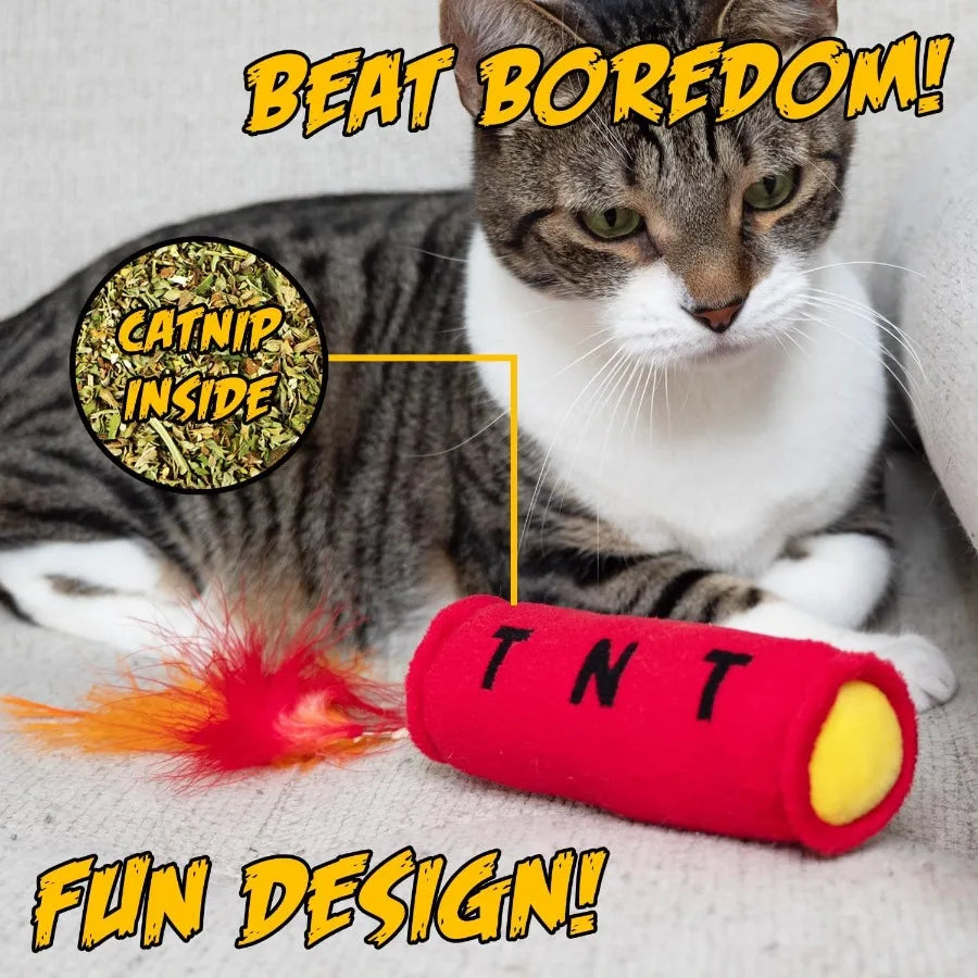 Cat Toy TNT Cat Toys for Indoor Cats Kitten Toys Catnip Toys for Cats of All Breeds with Dangle Feathers and Jingle Sound Kicki
