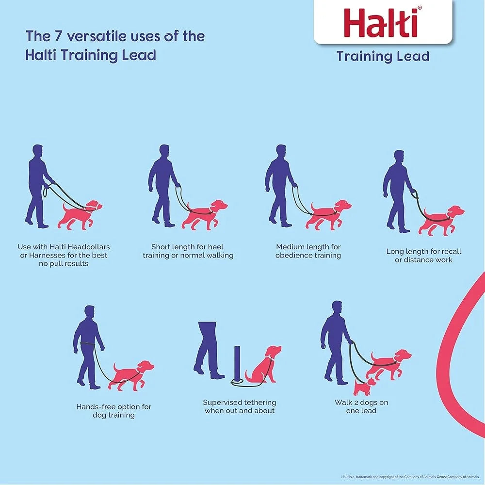 Halti Headcollar Size 3 Dog Leash Large Pack No Pull Training Control Reflective Safety Nylon Comfort Multi-Functional