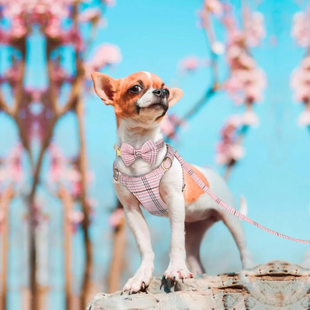 Cute Extra Small Dog Harness Collar and Leash Set with Bowtie, Soft Adjustable Plaid Puppy Harness for Small Sized Dogs Cats Wa