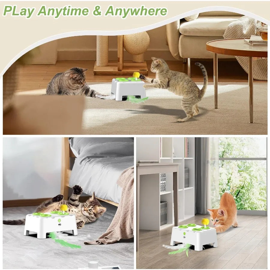 Cat Toys Interactive Cat Toys 2in1 Automatic Cat Toy 4 Holes Mice Whack A Mole Cat Mouse Toy with Moving Feather Portable USB R