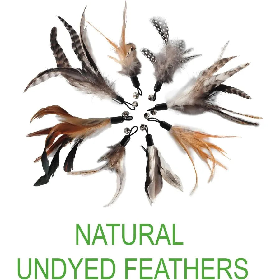 Cat Toys No Chemical Dyeing Cat Feather Toys for Indoor Cats Include Cat Wand and Natural Feather Refills