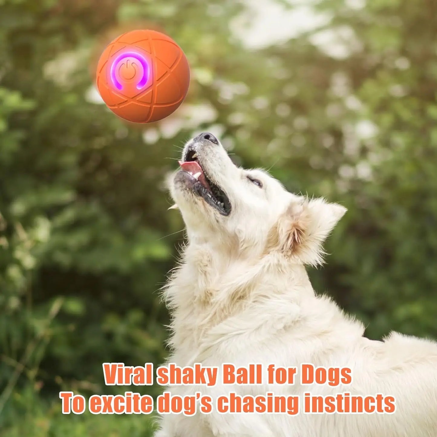 Interactive Dog Ball Set 2 Pieces Automatic Shaking Chew-Resistant Durable Toy for All Size Dogs Home & Garden Pet Supplies