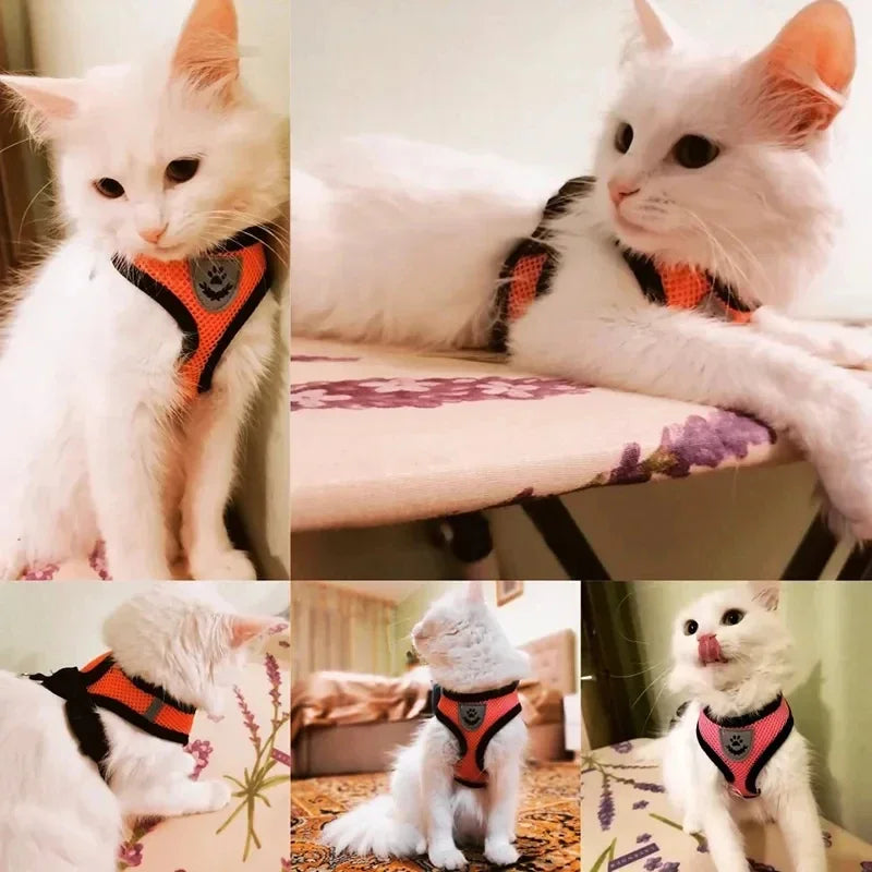 Cat Vest Walking Lead Leash Puppy Vest Collar Polyester Adjustable Mesh Dog Harness  Small Outdoor Dog Walking