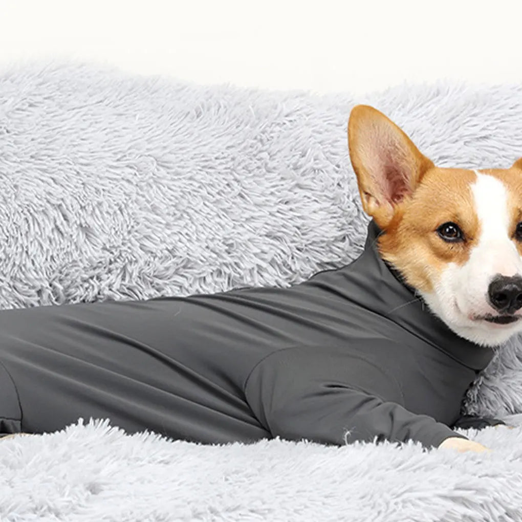 Grey Wide Application Dog Recovery Suit For Indoor And Outdoor Quick-drying Protection Easy To Wear Deep Grey L