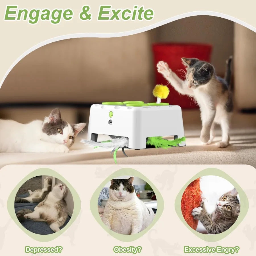 Cat Toys Interactive Cat Toys 2in1 Automatic Cat Toy 4 Holes Mice Whack A Mole Cat Mouse Toy with Moving Feather Portable USB R