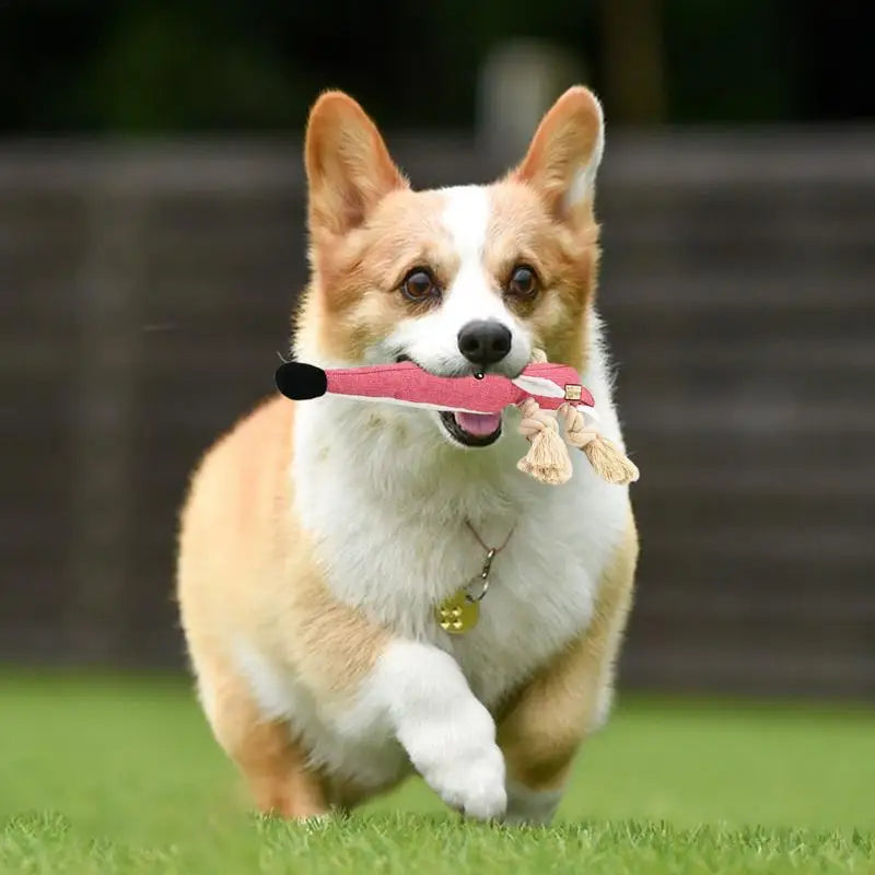 Puppy Chewing Toys Dog Squeaky Chewing Toys Bite-resistant Cotton Rope Knot Dog Biting Toy Pet For Relieves Teething Discomfort