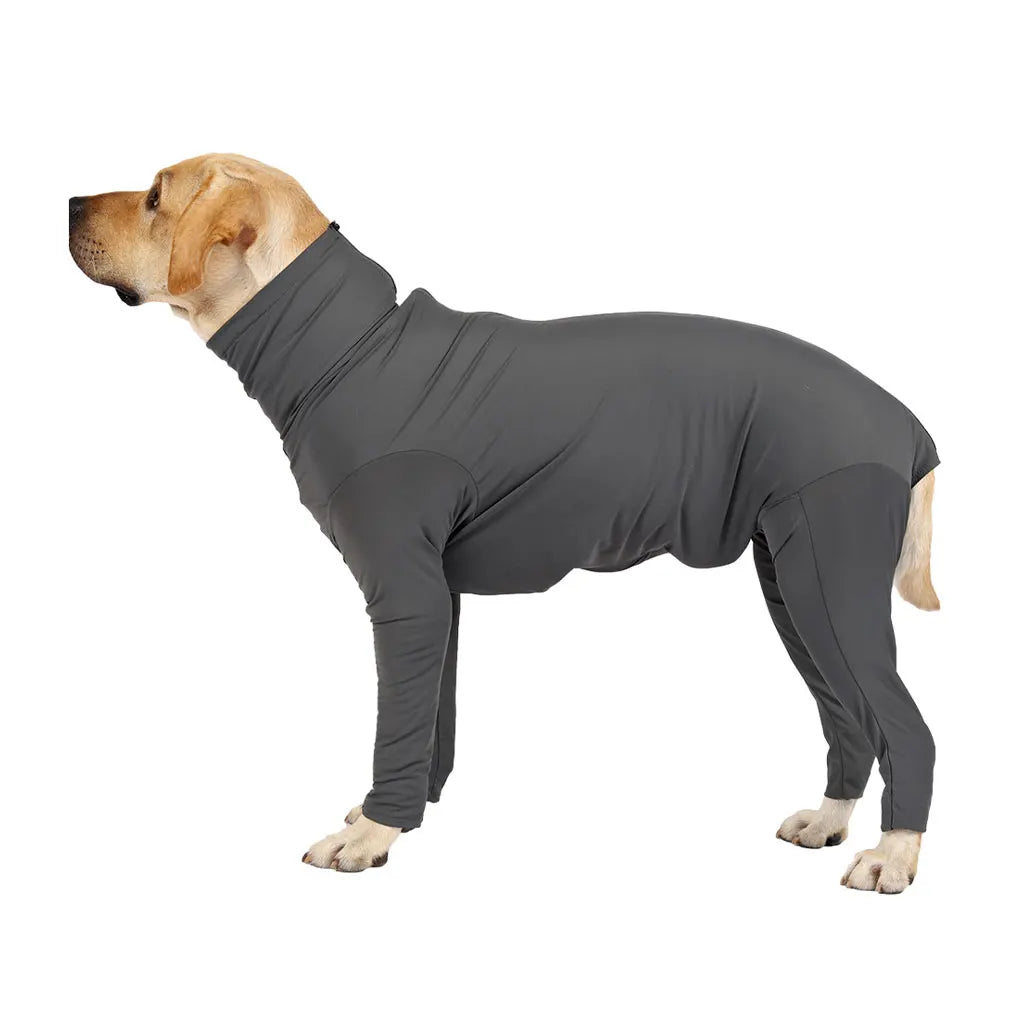 Grey Wide Application Dog Recovery Suit For Indoor And Outdoor Quick-drying Protection Easy To Wear Deep Grey L