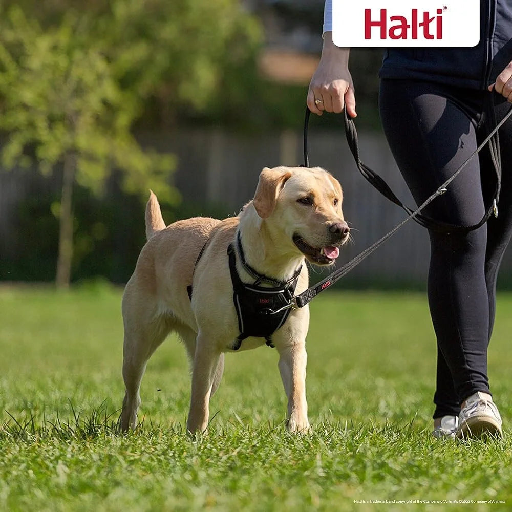 No Pull Dog Harness Adjustable Reflective Lightweight Stop Pulling Comfortable Padded Chest Soft Leg Straps Training Device