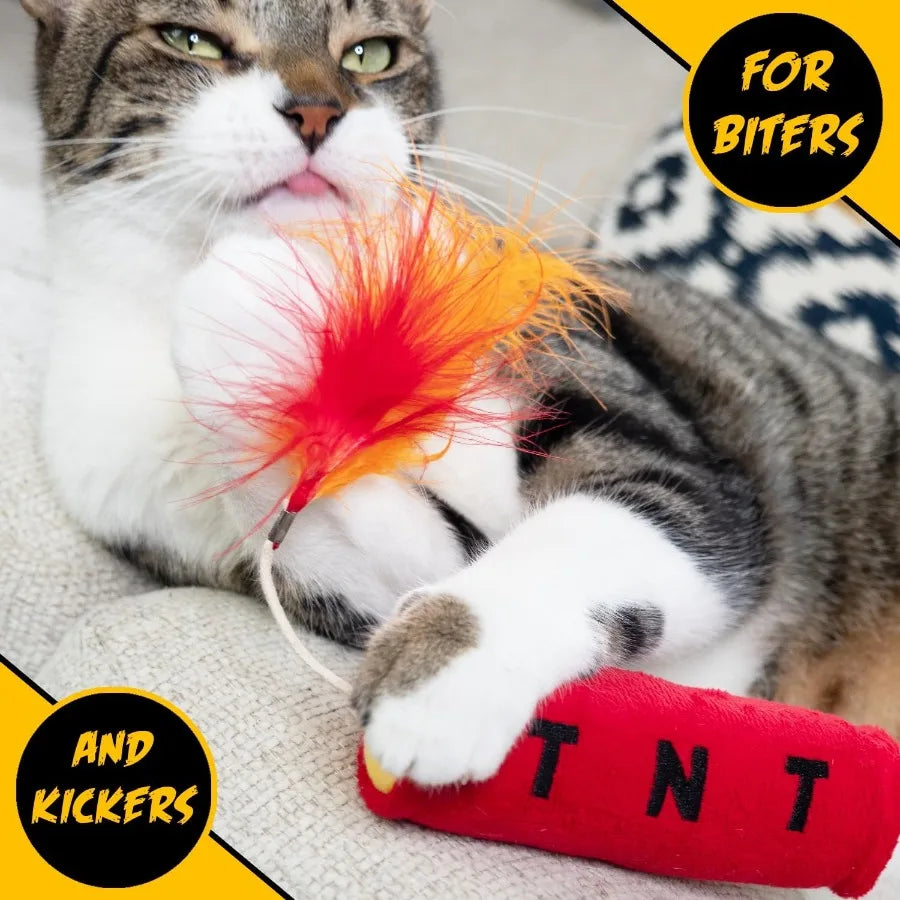 Cat Toy TNT Cat Toys for Indoor Cats Kitten Toys Catnip Toys for Cats of All Breeds with Dangle Feathers and Jingle Sound Kicki