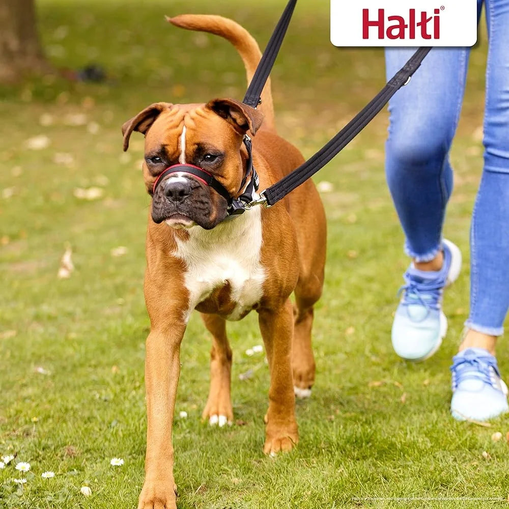 Halti Optifit Headcollar Dogs No Pull Adjustable Reflective Lightweight Padded Nose Band Safe Training Tool with Leash Clip
