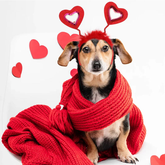 Pet Christmas Headwear Cat Dog Valentine's Day Love Headband Dog Pet Hair Accessories Party Dress Up Supplies