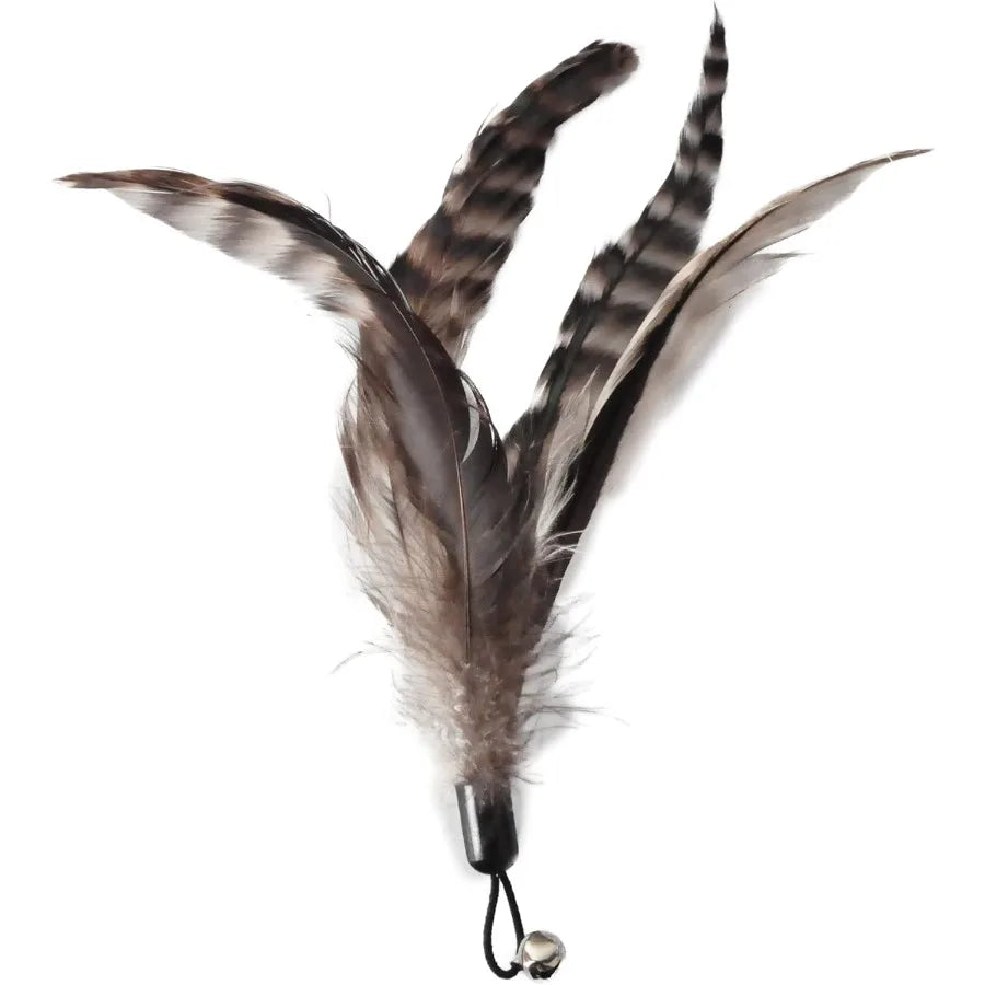 Cat Toys No Chemical Dyeing Cat Feather Toys for Indoor Cats Include Cat Wand and Natural Feather Refills