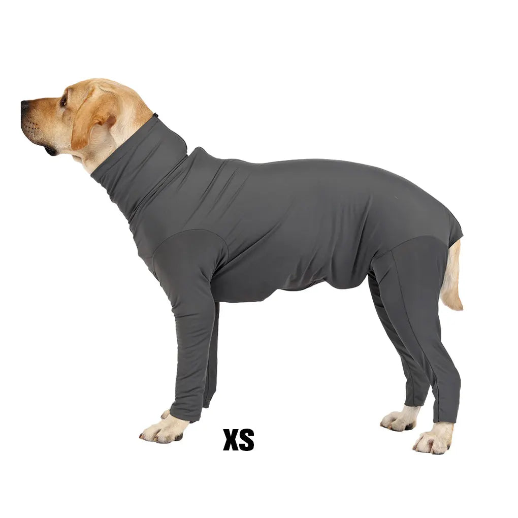 Grey Wide Application Dog Recovery Suit For Indoor And Outdoor Quick-drying Protection Easy To Wear Deep Grey L