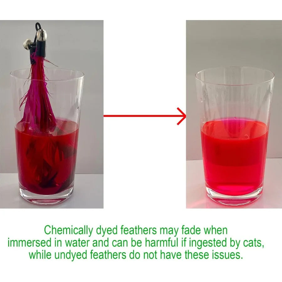 Cat Toys No Chemical Dyeing Cat Feather Toys for Indoor Cats Include Cat Wand and Natural Feather Refills