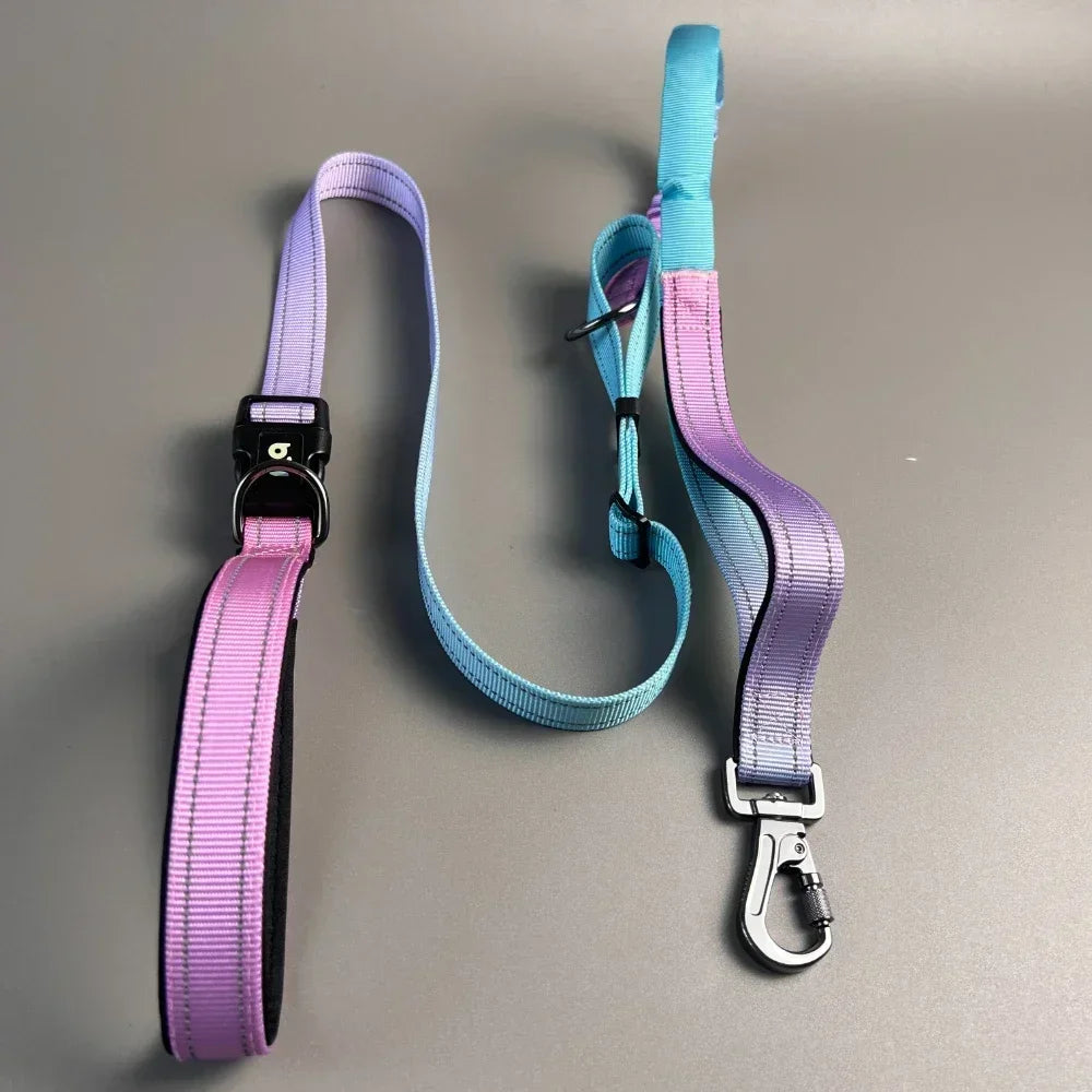 Hands Free Dog Leash with Zipper Pouch  Cushioned Handles  Strong Bungee - Perfect for Walking  Jogging Running