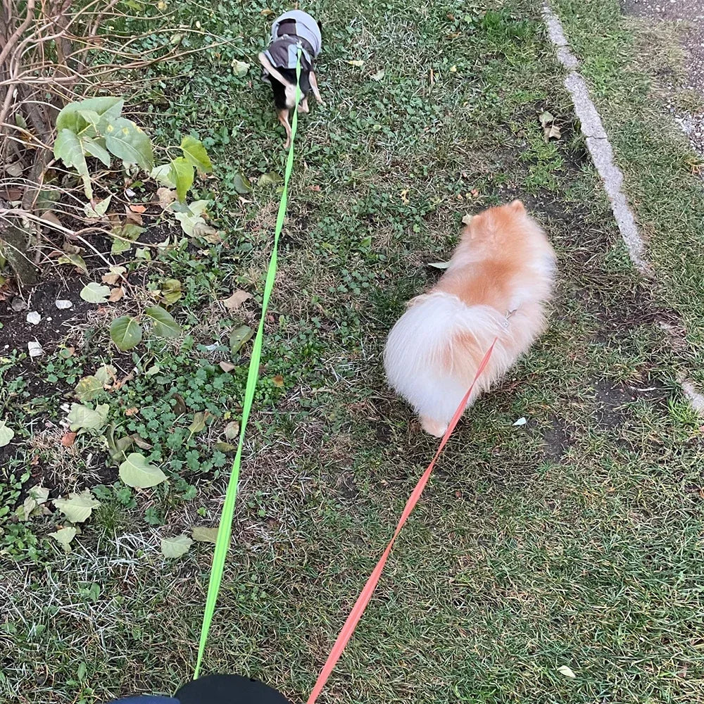 3m Dual Dog Leash With Flashlight Waste Bag Box Pet supplies Double-Ended Traction Rope Dogs Strap Auto Retractable Roulette Dog