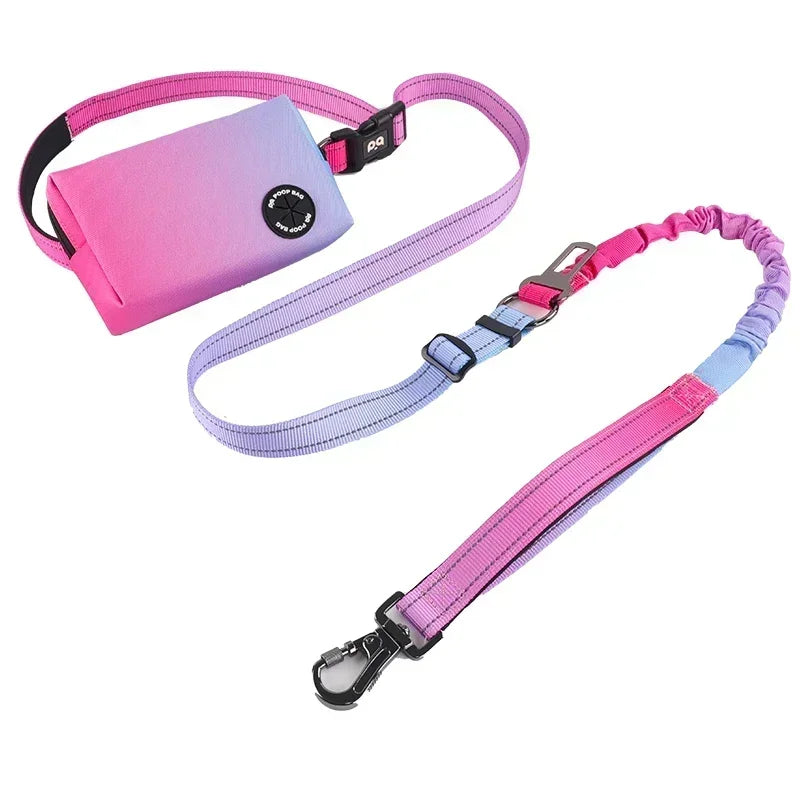 Hands Free Dog Leash with Zipper Pouch  Cushioned Handles  Strong Bungee - Perfect for Walking  Jogging Running