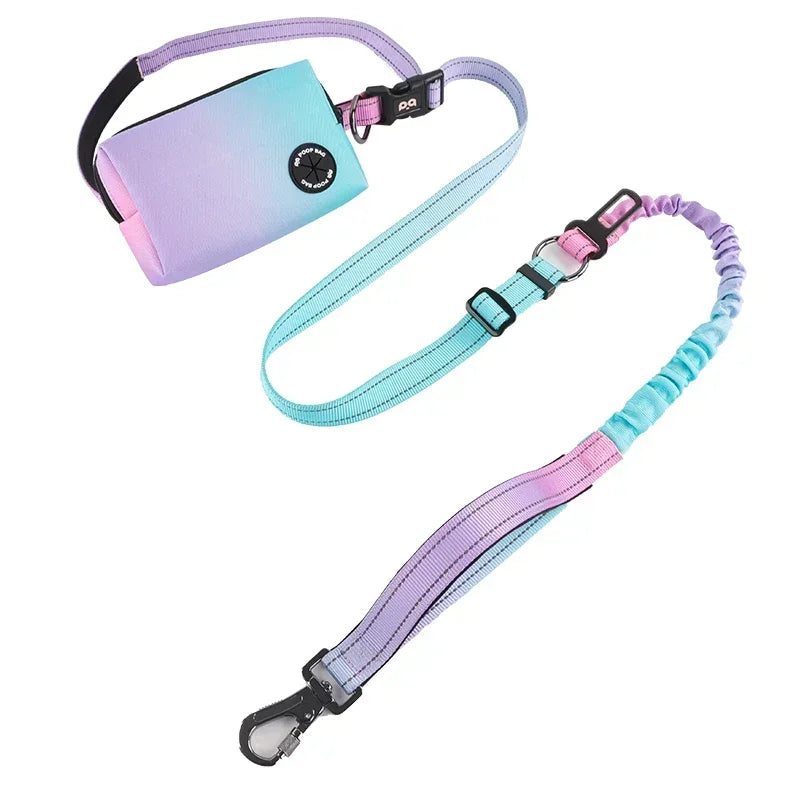 Hands Free Dog Leash with Zipper Pouch  Cushioned Handles  Strong Bungee - Perfect for Walking  Jogging Running