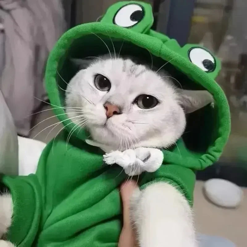 Dog Frog Costume, Pet Clothes Dog Hoodies Warm Sweatshirt Coat Puppy Autumn Winter Apparel Jumpsuit with Eye Hood
