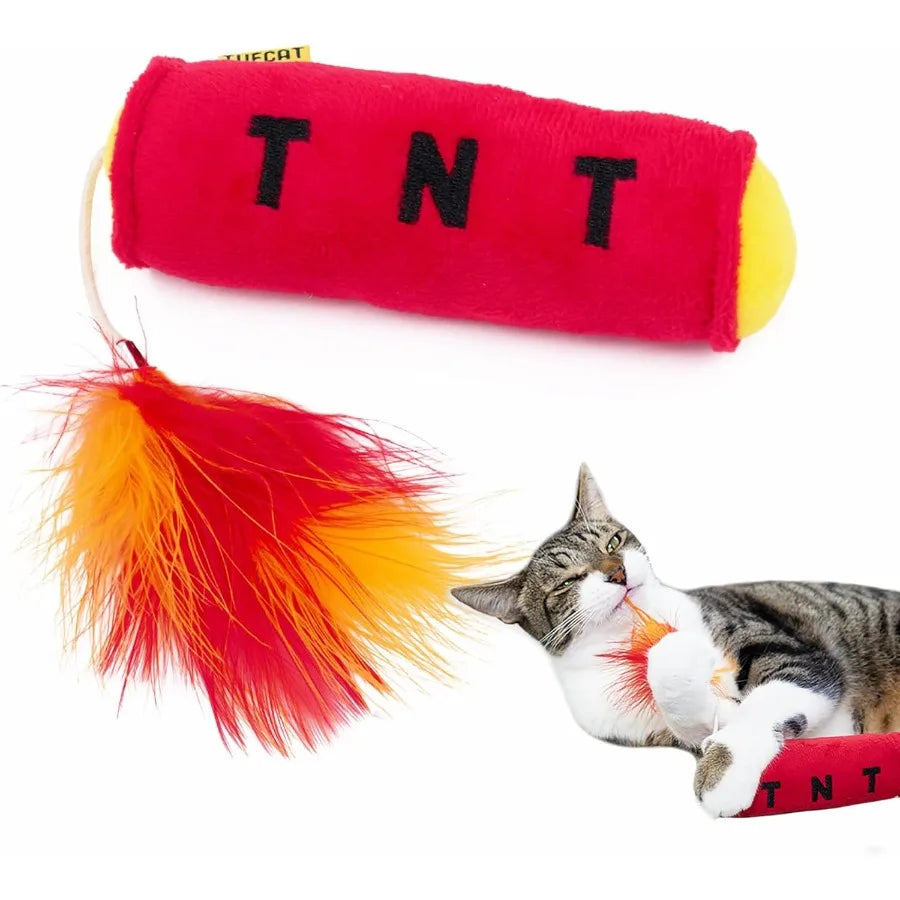 Cat Toy TNT Cat Toys for Indoor Cats Kitten Toys Catnip Toys for Cats of All Breeds with Dangle Feathers and Jingle Sound Kicki