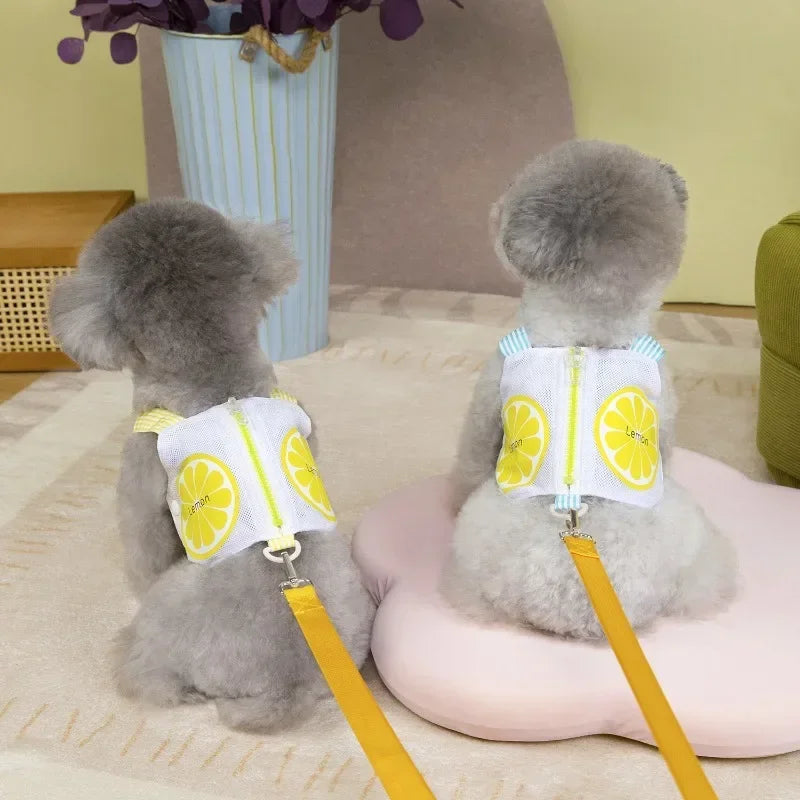 Pet Dog Harness Vest Summer Breathable Puppy Accessories Blue Yellow Dog Harnesses With Leash Kitten Chest Strap Leash Set XXL